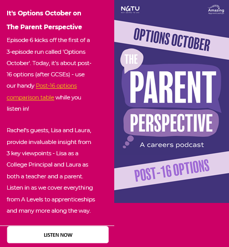 The parent perspective podcast